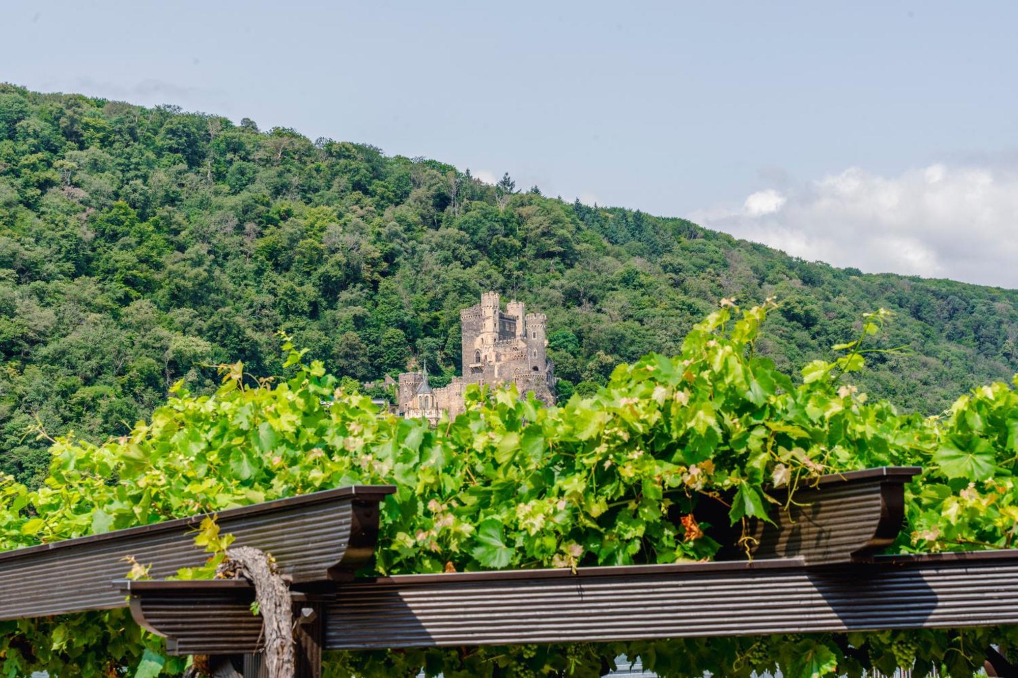 Hotel Unter Den Linden Rüdesheim am Rhein Dış mekan fotoğraf